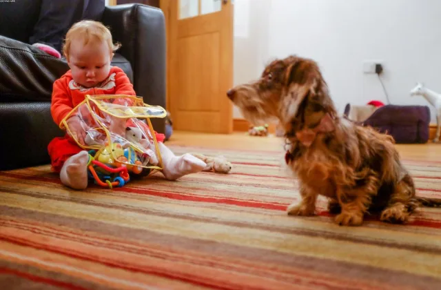 Baby Dolls for Children with Additional Needs: A Complete UK Guide - recommended products from BabyDolls